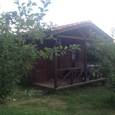 Salkim Konak Ve Agac Evler Casa de hóspedes Selçuk Quarto foto