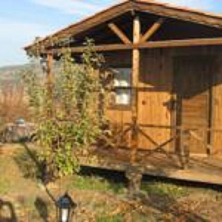 Salkim Konak Ve Agac Evler Casa de hóspedes Selçuk Quarto foto