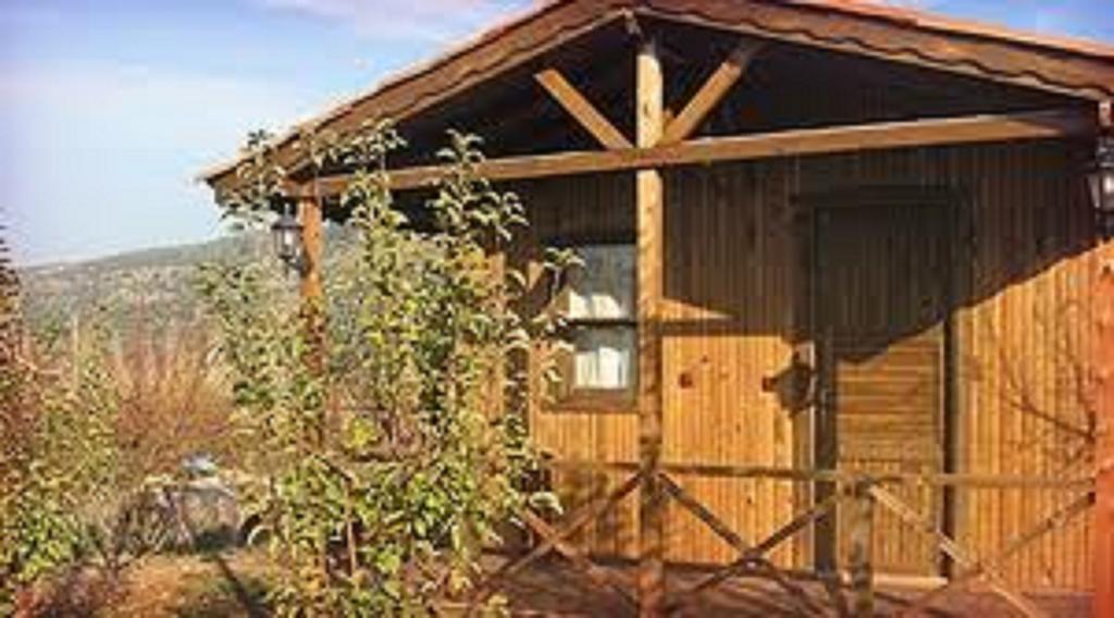 Salkim Konak Ve Agac Evler Casa de hóspedes Selçuk Quarto foto
