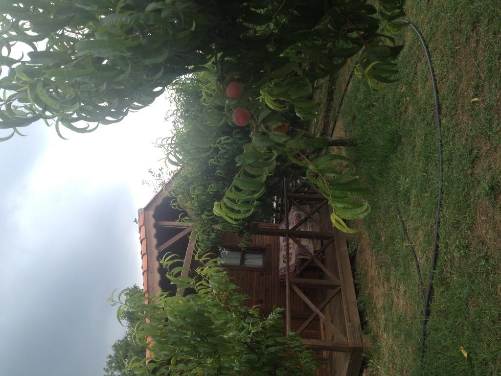 Salkim Konak Ve Agac Evler Casa de hóspedes Selçuk Quarto foto