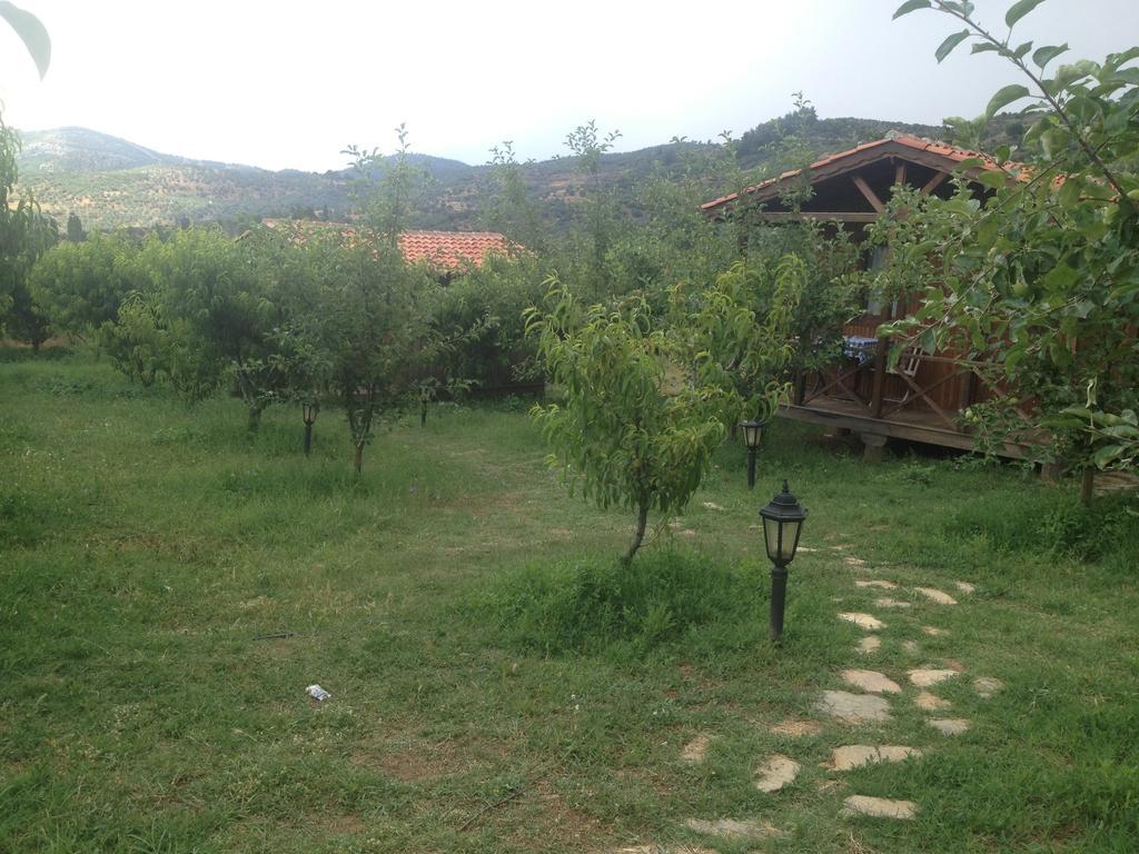 Salkim Konak Ve Agac Evler Casa de hóspedes Selçuk Quarto foto