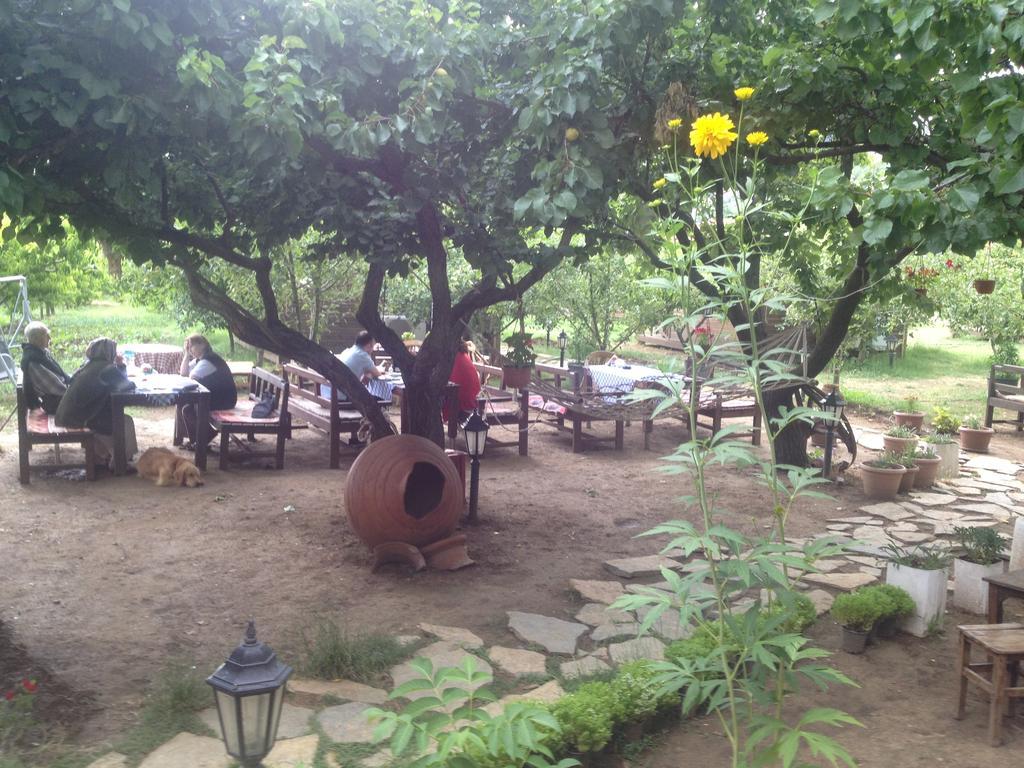 Salkim Konak Ve Agac Evler Casa de hóspedes Selçuk Exterior foto