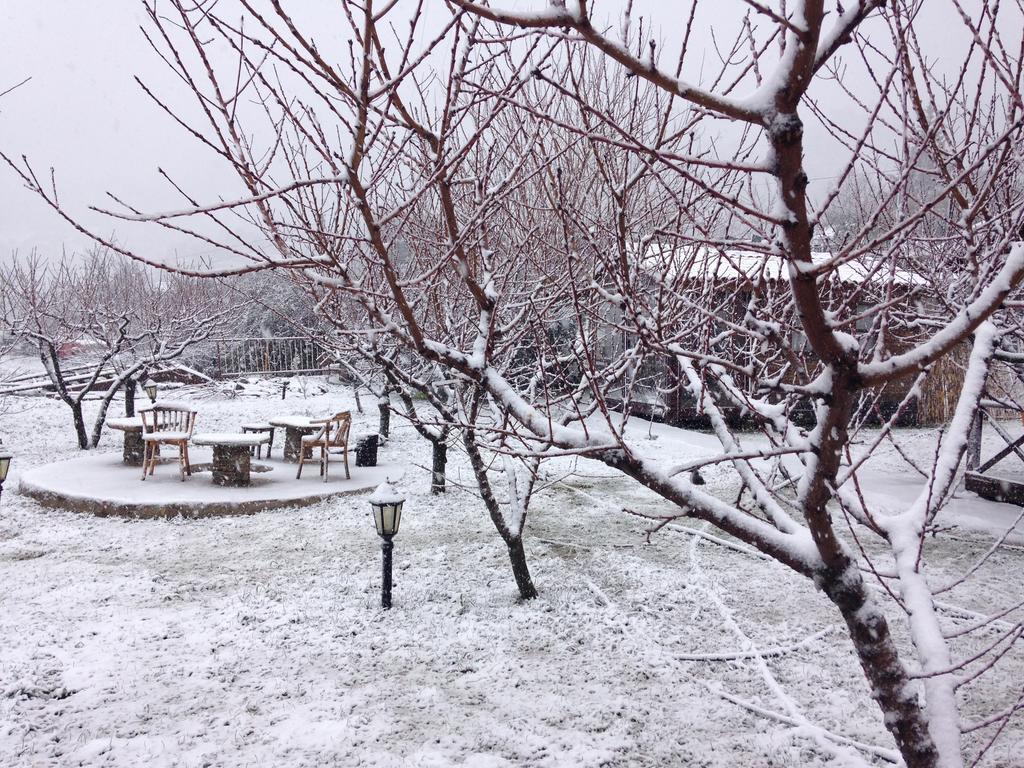 Salkim Konak Ve Agac Evler Casa de hóspedes Selçuk Exterior foto