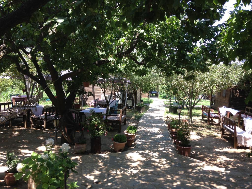 Salkim Konak Ve Agac Evler Casa de hóspedes Selçuk Exterior foto