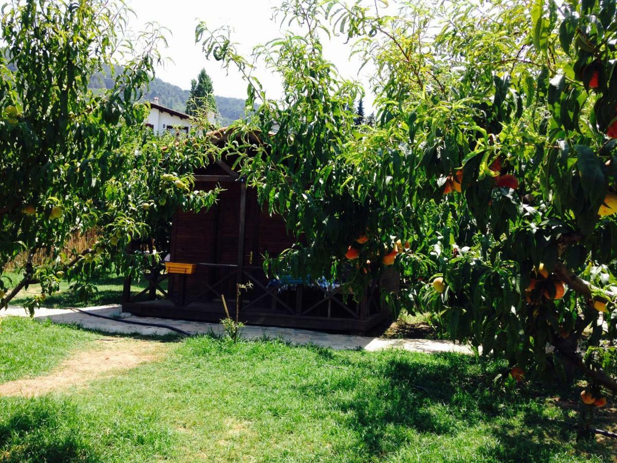 Salkim Konak Ve Agac Evler Casa de hóspedes Selçuk Exterior foto