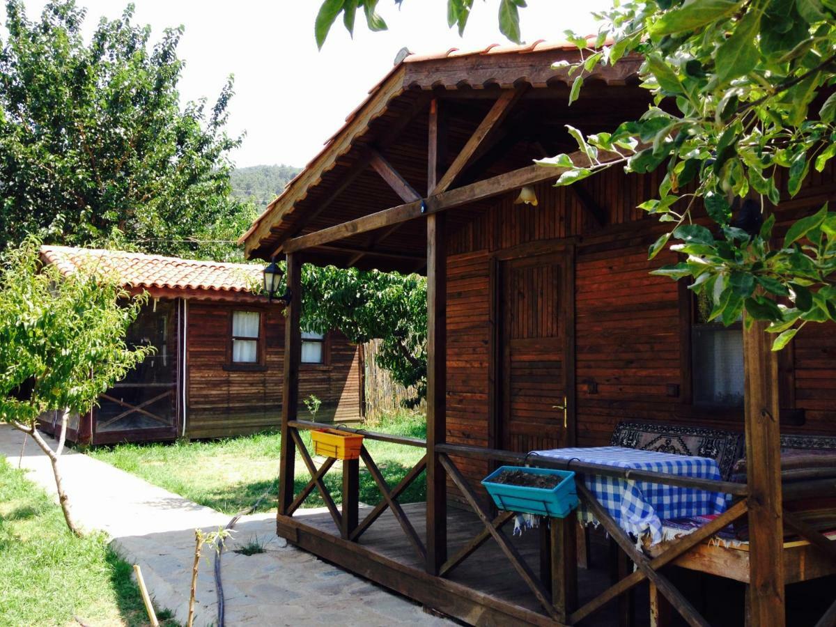 Salkim Konak Ve Agac Evler Casa de hóspedes Selçuk Exterior foto